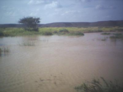 chofo ilhayr fisahra